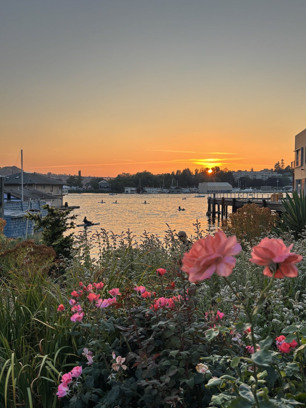 Issue No. 01 cover: sunset over the water in Eastlake with pink roses in the foreground